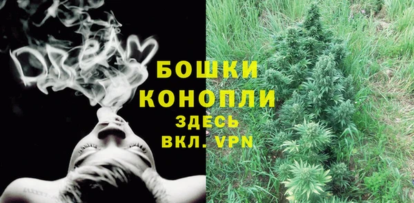 бошки Алексин