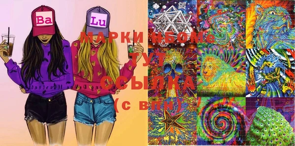 бошки Алексин