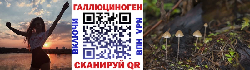 Галлюциногенные грибы MAGIC MUSHROOMS  blacksprut ССЫЛКА  Лахденпохья 