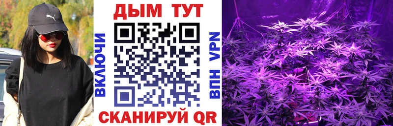 Каннабис Bruce Banner Лахденпохья